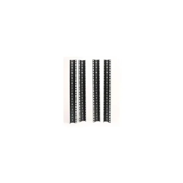 VERTICAL MOUNTING RAIL KIT 12U FOR NETSHELTER CX MINI