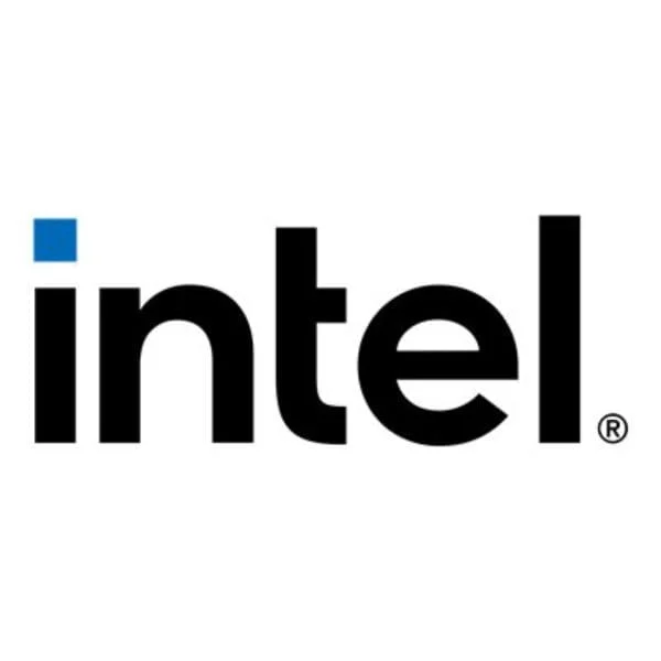 Intel RAID Maintenance Free Backup Unit - RAID controller cache data protection module