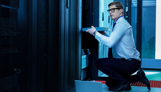 Robust IT Ecosystems